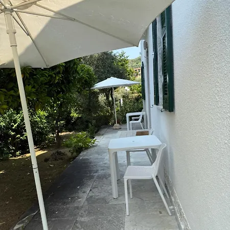 Il Delfino-2